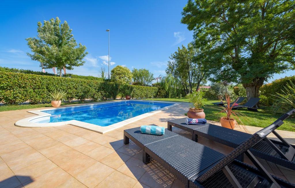 Villa Vigneri Novigrad Istria Eksteriør bilde